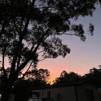 Photo by Courtney B.