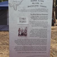 Photo by Michelle D.