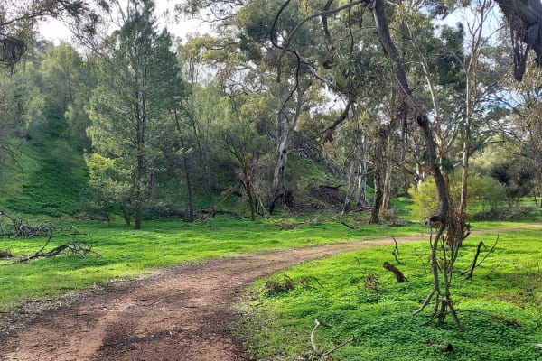 Photo by Nickolas S.