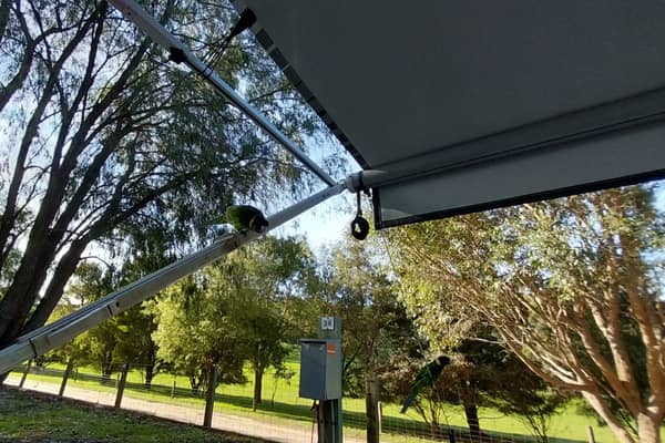 Photo by Colin van den Hoff