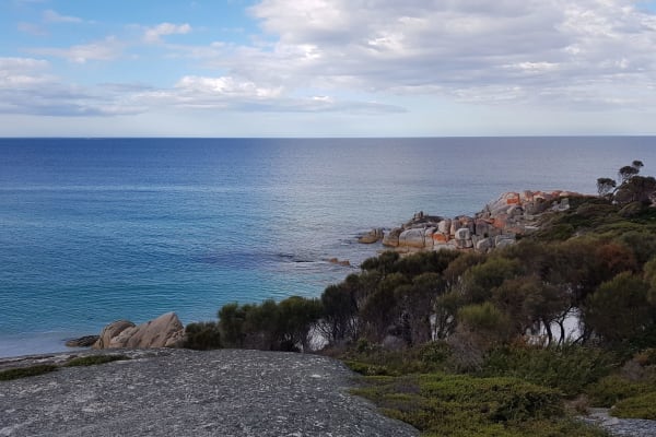 Photo by Christopher H.