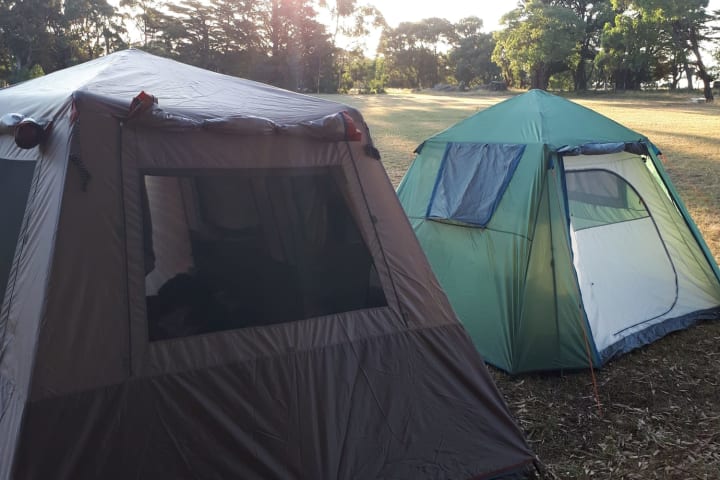 Photo by Kristine B.