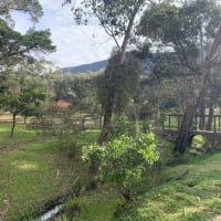 Photo by Charlotte H.