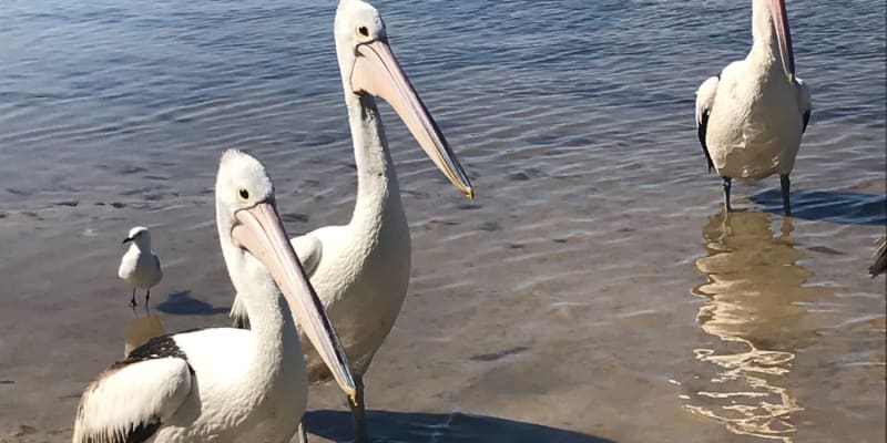 Photo by Elizabeth W.