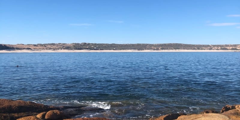 Photo by Philippa D.