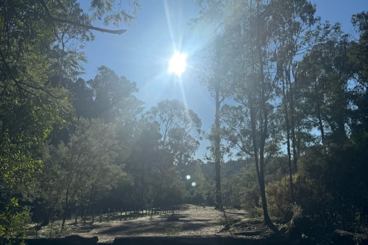 Photo by Paul J Polderman