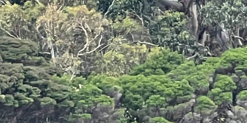 Photo by Kristina D.