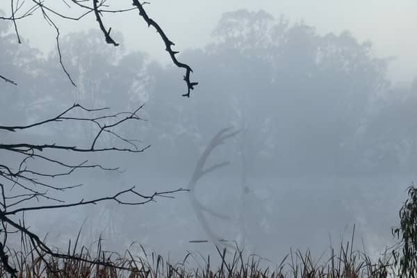 Photo by Belinda D.