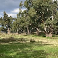 Photo by Lee-Anne F.