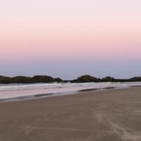 Photo by Laisiana T.