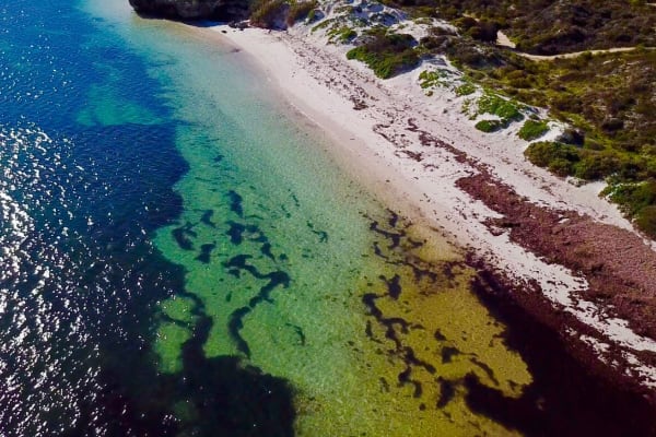 Photo by Four Hands in a Tin Can