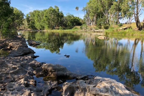 Photo by Marcia Christine Baker