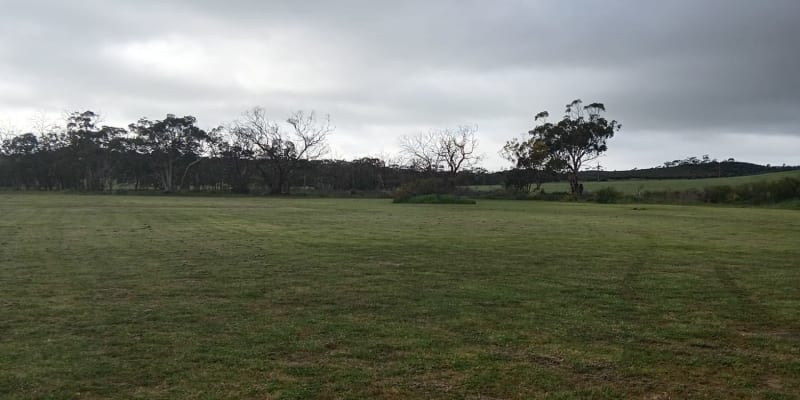 Photograph of Camp with your pets at these 10 campgrounds near Gillingarra, WA