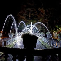 Photo by My Rig Adventures