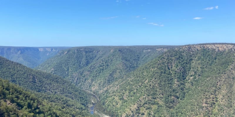 Photo by Daniela Olivera Bermudez