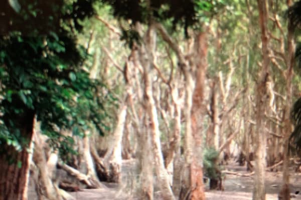 Photo by F camp lovah