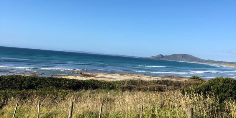 Photo by Stephanie J.