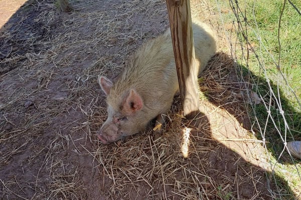 Photo by Kerry and Vicki Petterwood