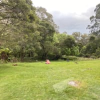 Photo by Ania Daria Sekula