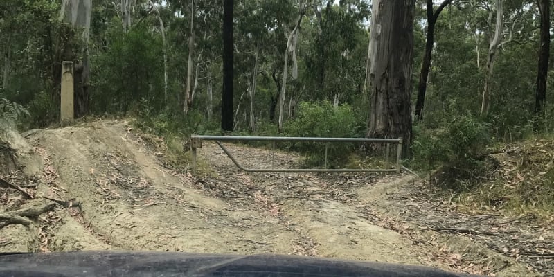 Photo by Sean Raymond Yates