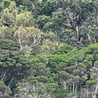 Photo by Kristina D.