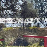 Photo by Adrienne C.