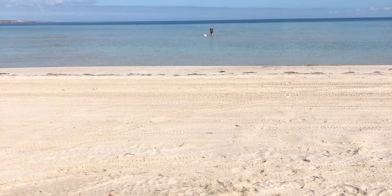 Photo by Kristine H.