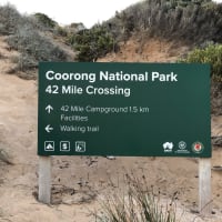 Photo by Brucethegoose