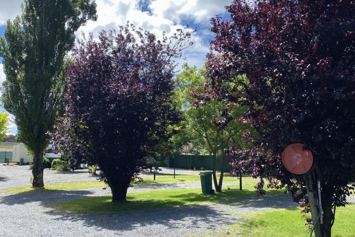 Photo by Barry and Di O'Connor