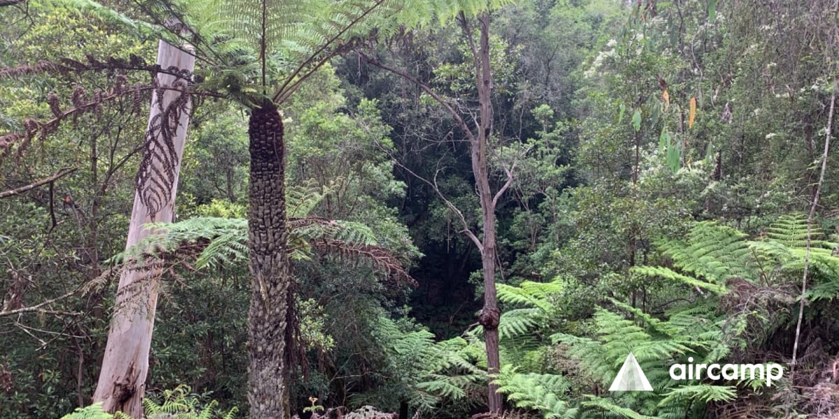 Burtons Bend