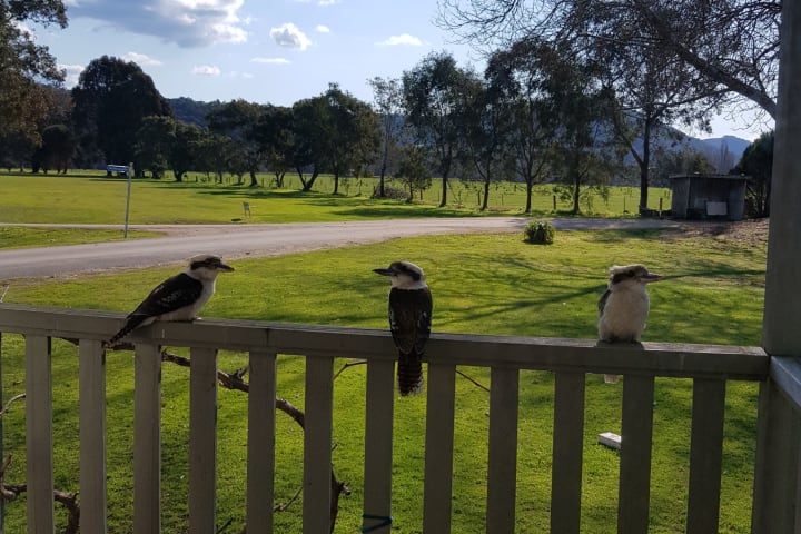 Photo by Kirstine R.