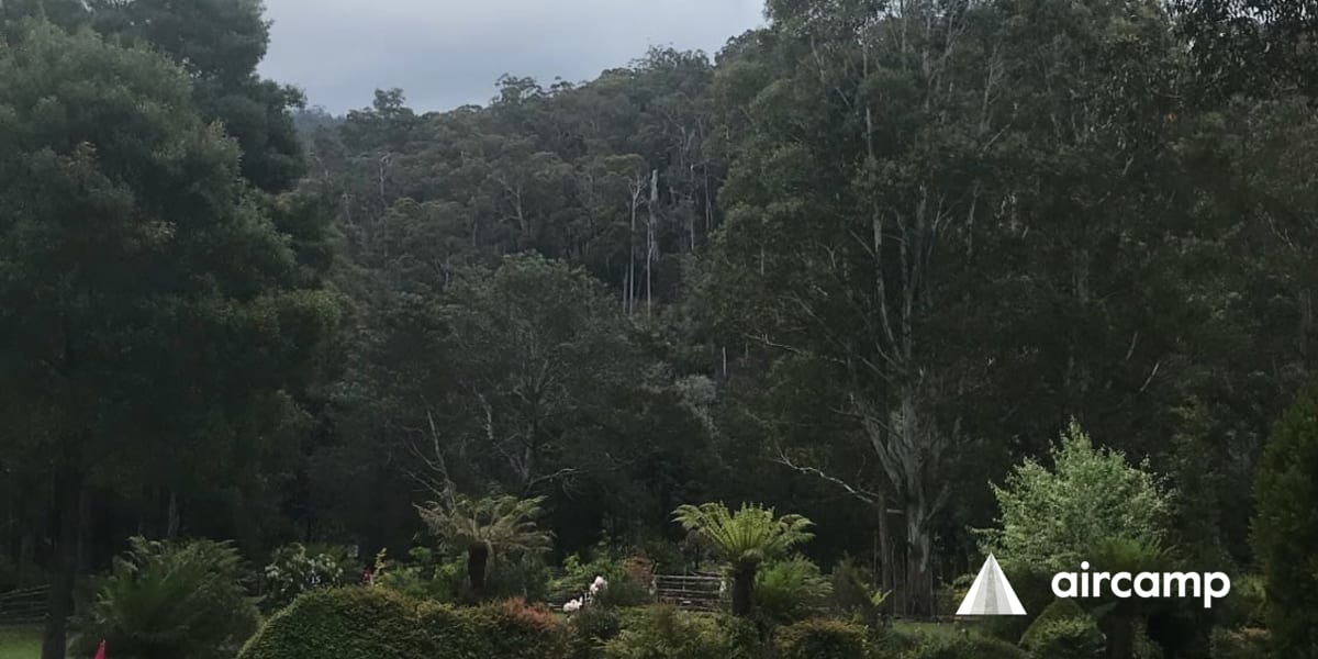 Left Of Field Caravan Park