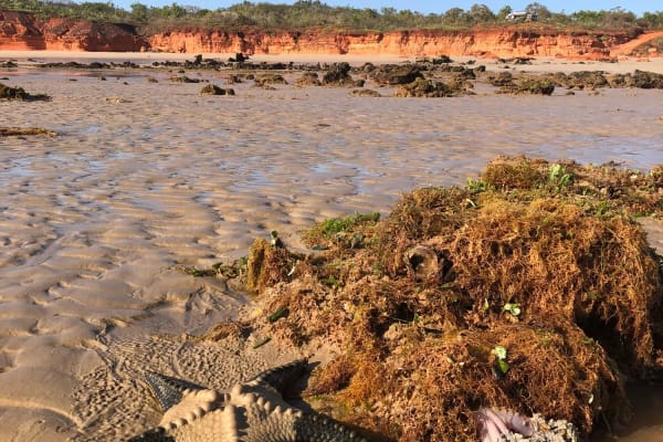 Photo by WANDERINGAUST