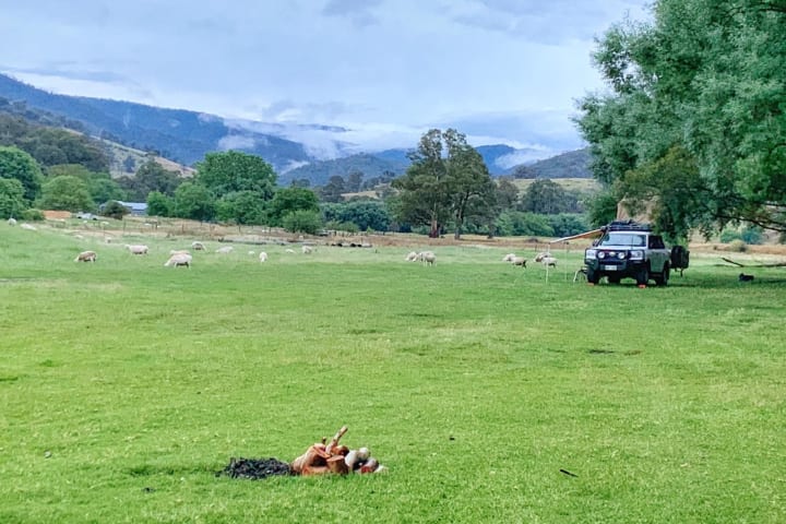 Photo by Off The Trax