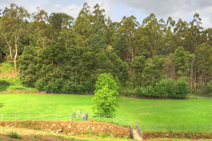 Photo by [deleted user]