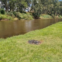 Photo by Benjamin B.