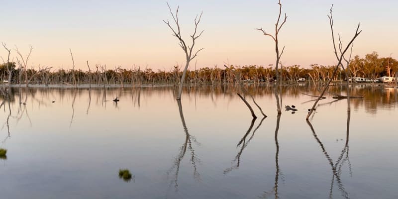 Photo by Tassie-Devil