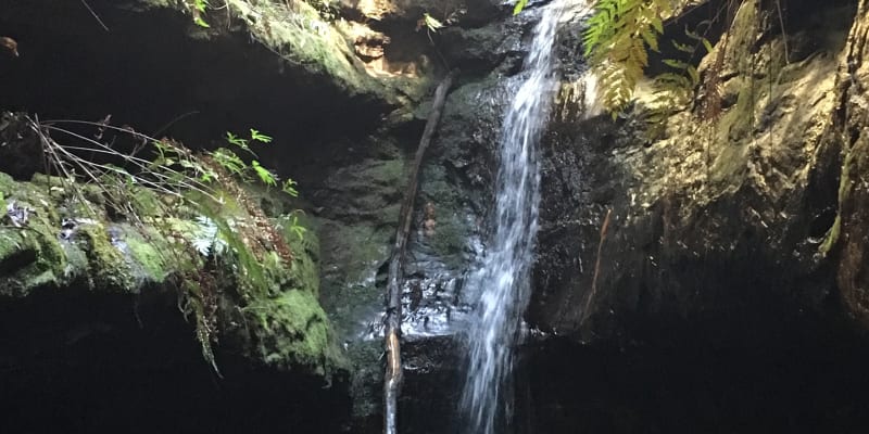 Photo of Burralow Creek campground and picnic area