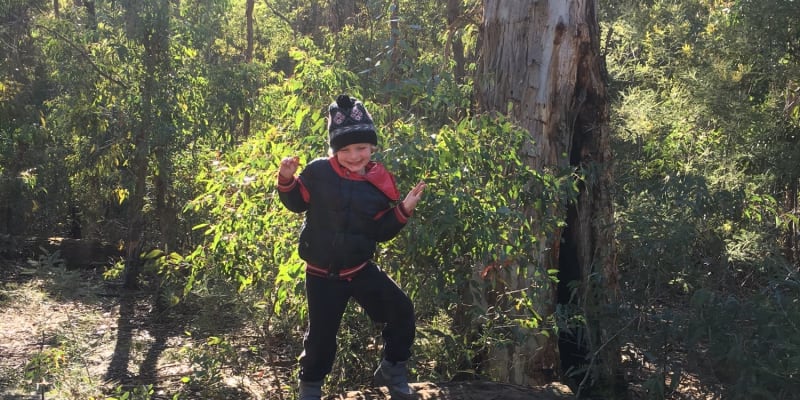 Photo of Upper Chadwick Campsite