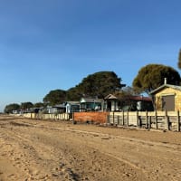 Photo by Jacqueline A.