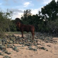 Photo by Samantha M.