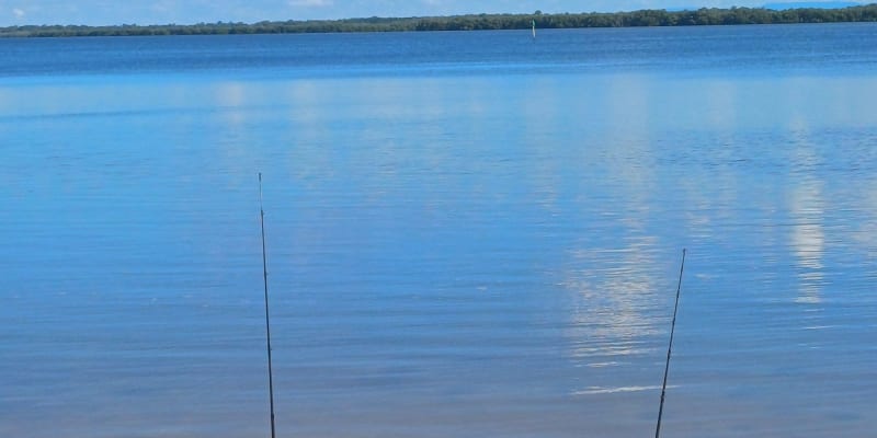 Photo by Christopher B.