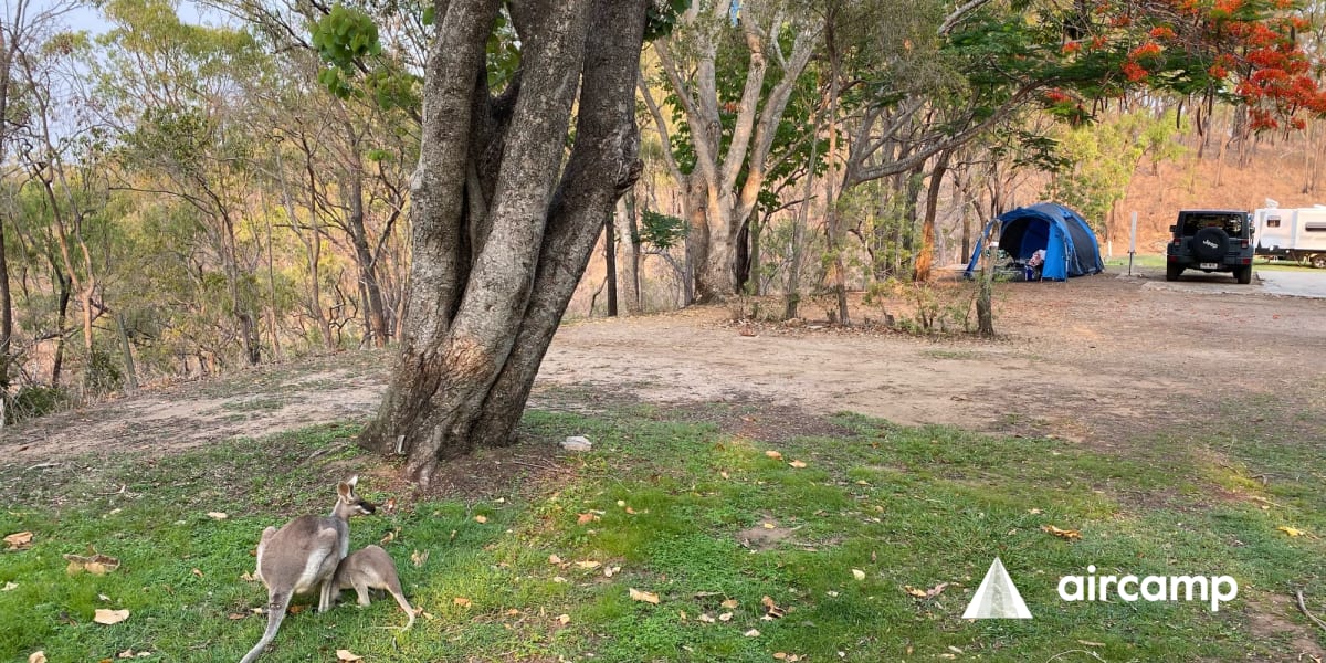 Lake Awoonga Caravan Park