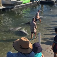 Photo by Brayden Tarj n Aylah Wilson