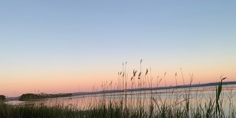 Photo by Catarina A.