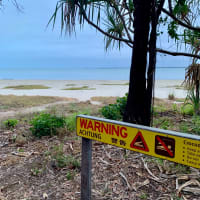 Photo by Corporate to Caravan