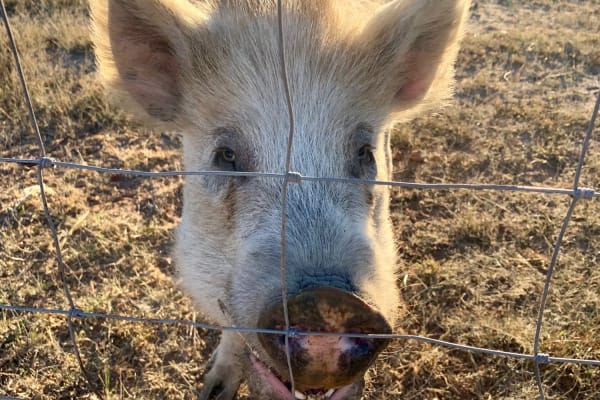 Photo by Corporate to Caravan