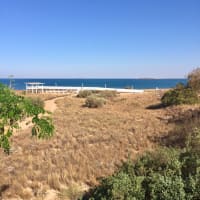 Photo by Kim & Shane