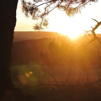 Photo by Brucethegoose