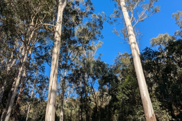 Photo by GetMeOffGrid